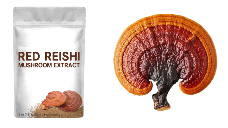 How many teaspoons of reishi powder per day? 